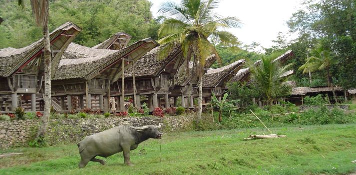Indonesia &ndash; Sulawesi con villaggi tradizionali Toraja, foreste pluviali e i fondali di Bunaken 